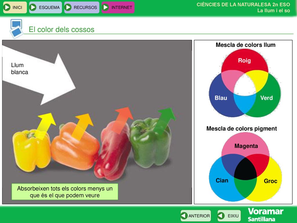 Absorbeixen tots els colors menys un que és el que podem veure