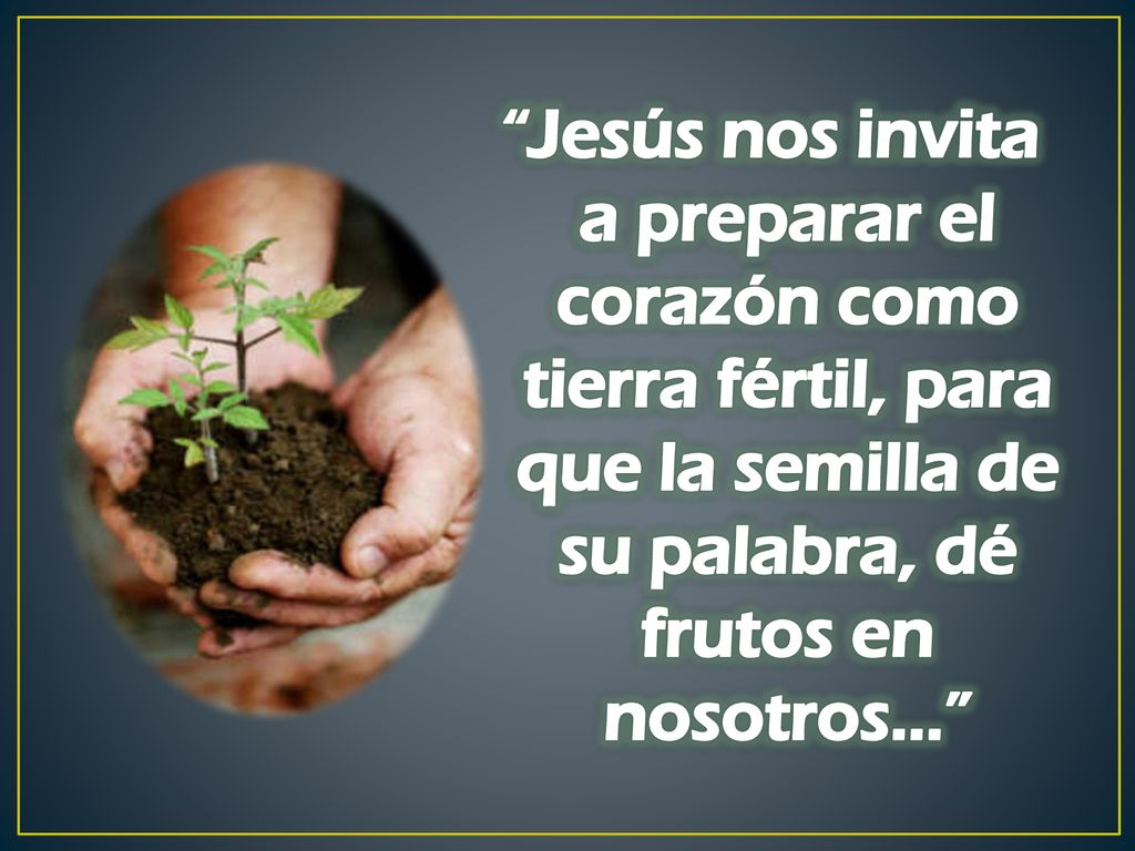 Jesús nos invita a preparar el corazón como tierra fértil, para que la semilla de su palabra, dé frutos en nosotros...