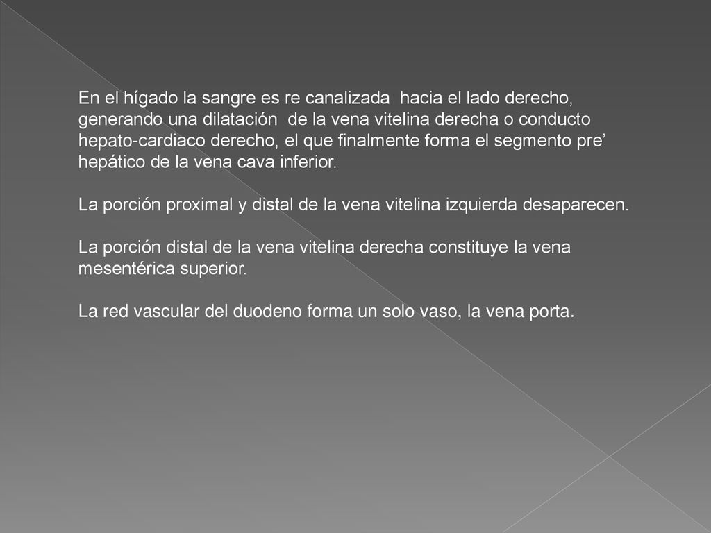 En el hígado la sangre es re canalizada hacia el lado derecho, generando una dilatación de la vena vitelina derecha o conducto hepato-cardiaco derecho, el que finalmente forma el segmento pre’ hepático de la vena cava inferior.