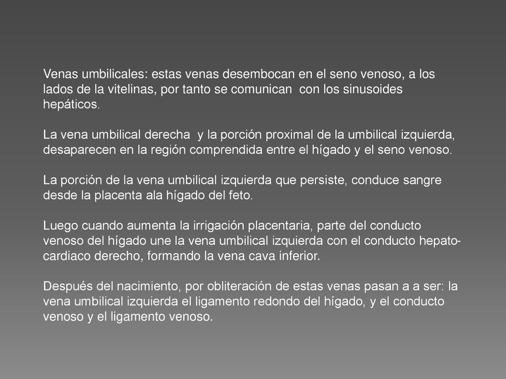 Venas umbilicales: estas venas desembocan en el seno venoso, a los lados de la vitelinas, por tanto se comunican con los sinusoides hepáticos.