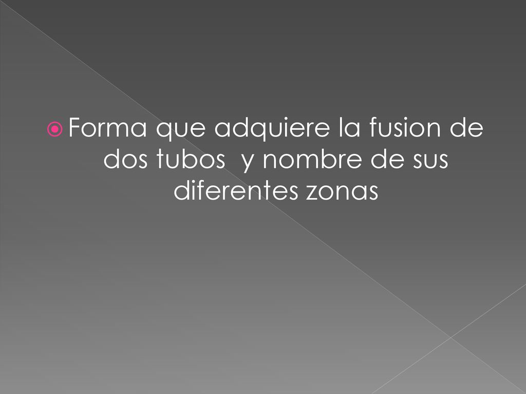 Forma que adquiere la fusion de dos tubos y nombre de sus diferentes zonas