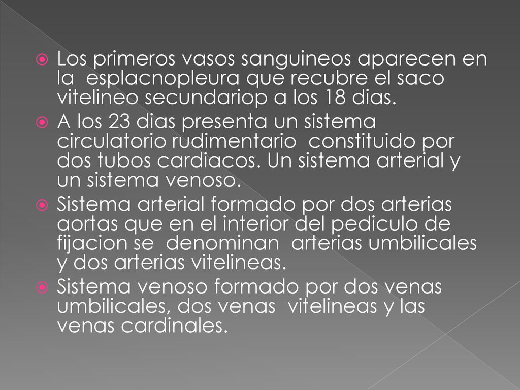 Los primeros vasos sanguineos aparecen en la esplacnopleura que recubre el saco vitelineo secundariop a los 18 dias.
