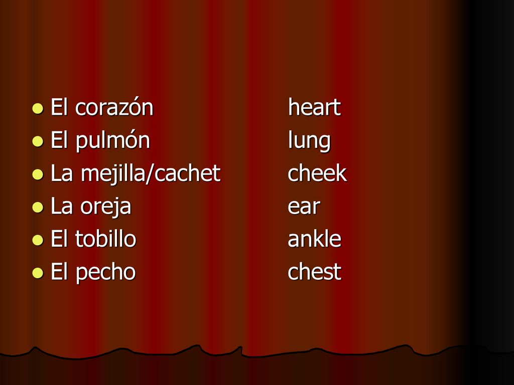 El corazón heart El pulmón lung. La mejilla/cachet cheek. La oreja ear. El tobillo ankle.