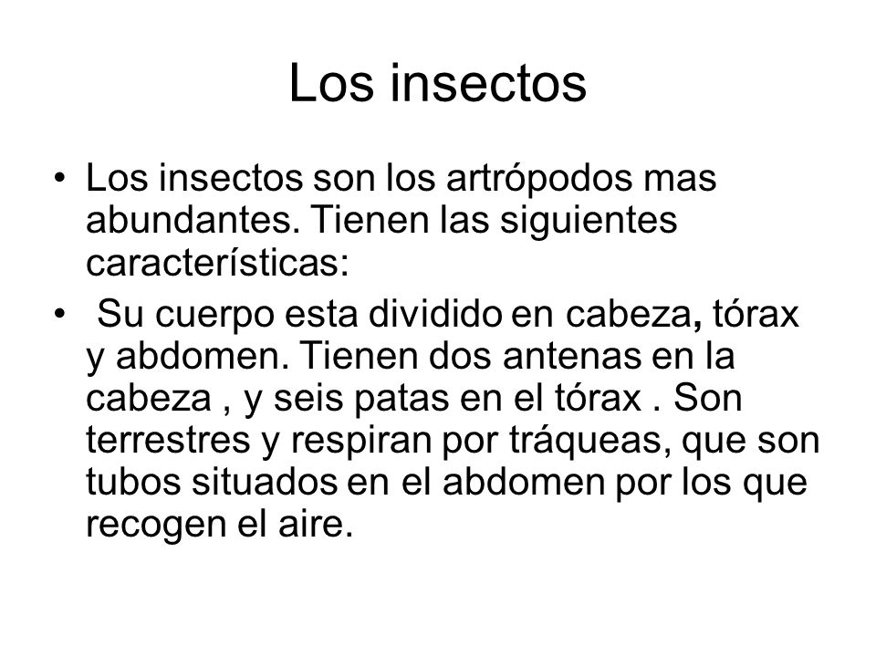 Los insectos Los insectos son los artrópodos mas abundantes. Tienen las siguientes características:
