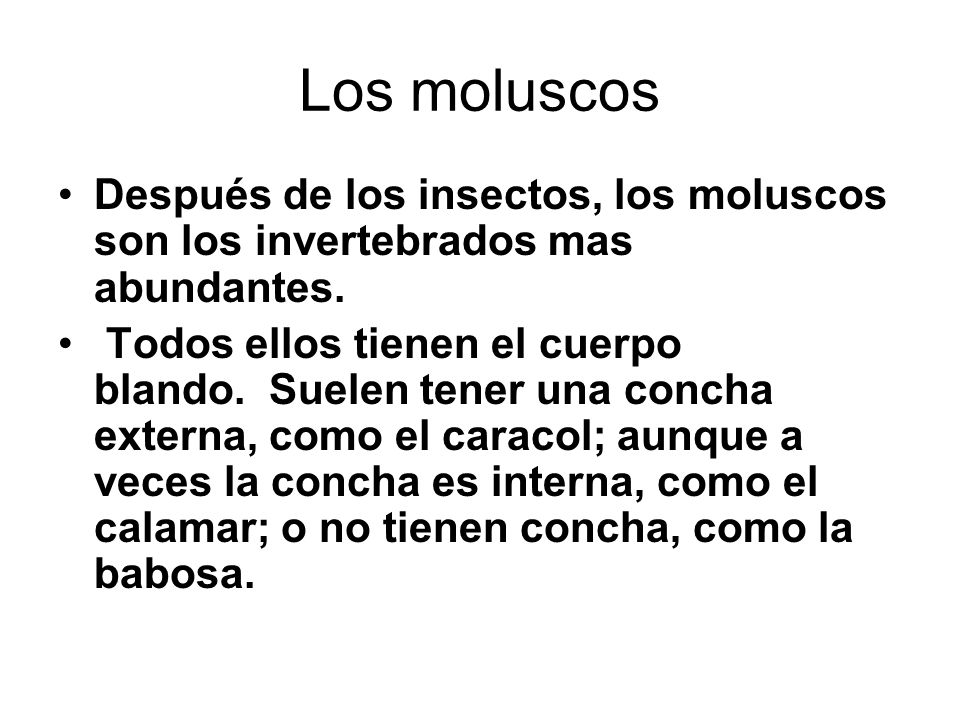 Los moluscos Después de los insectos, los moluscos son los invertebrados mas abundantes.
