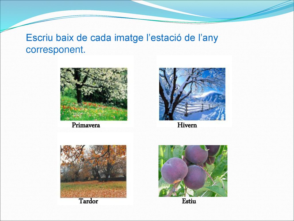 Escriu baix de cada imatge l’estació de l’any corresponent.
