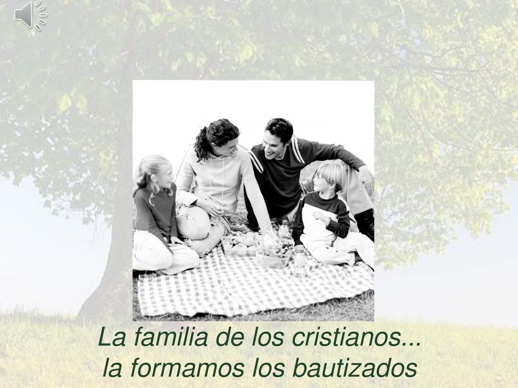 La familia de los cristianos... la formamos los bautizados