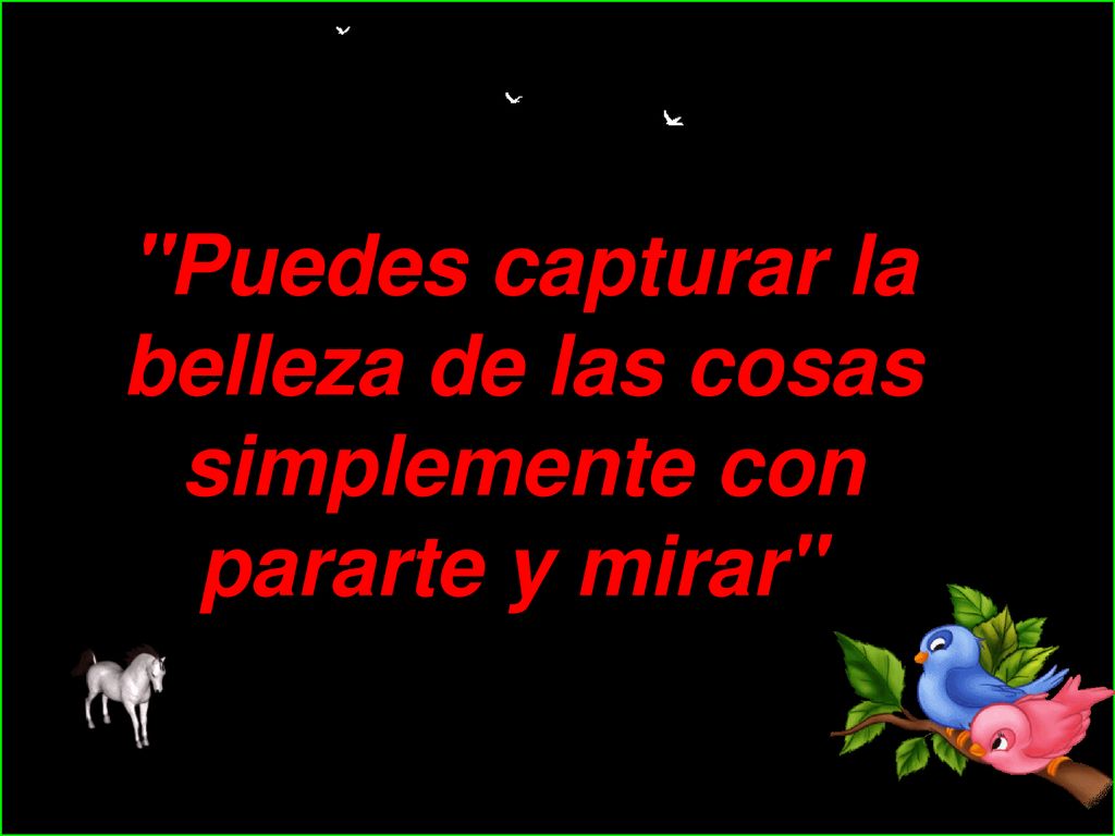 Puedes capturar la belleza de las cosas simplemente con pararte y mirar