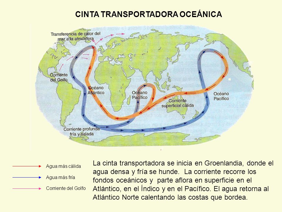 CINTA TRANSPORTADORA OCEÁNICA