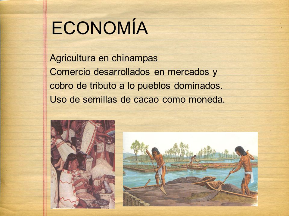 ECONOMÍA Agricultura en chinampas Comercio desarrollados en mercados y