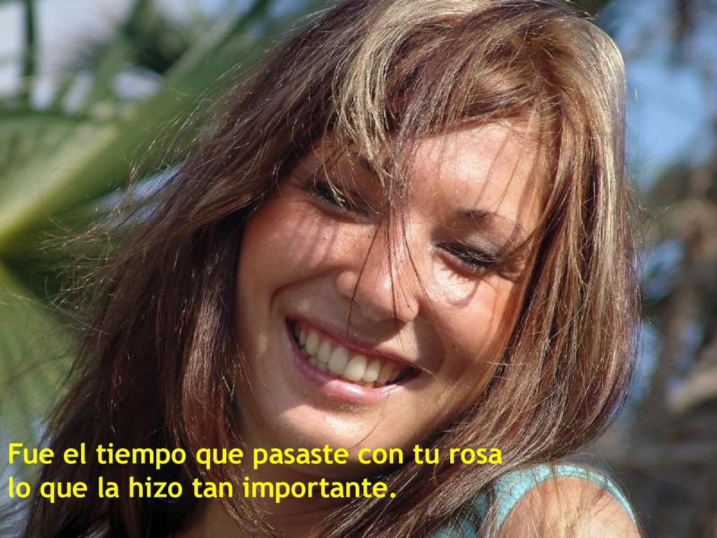 Fue el tiempo que pasaste con tu rosa lo que la hizo tan importante.