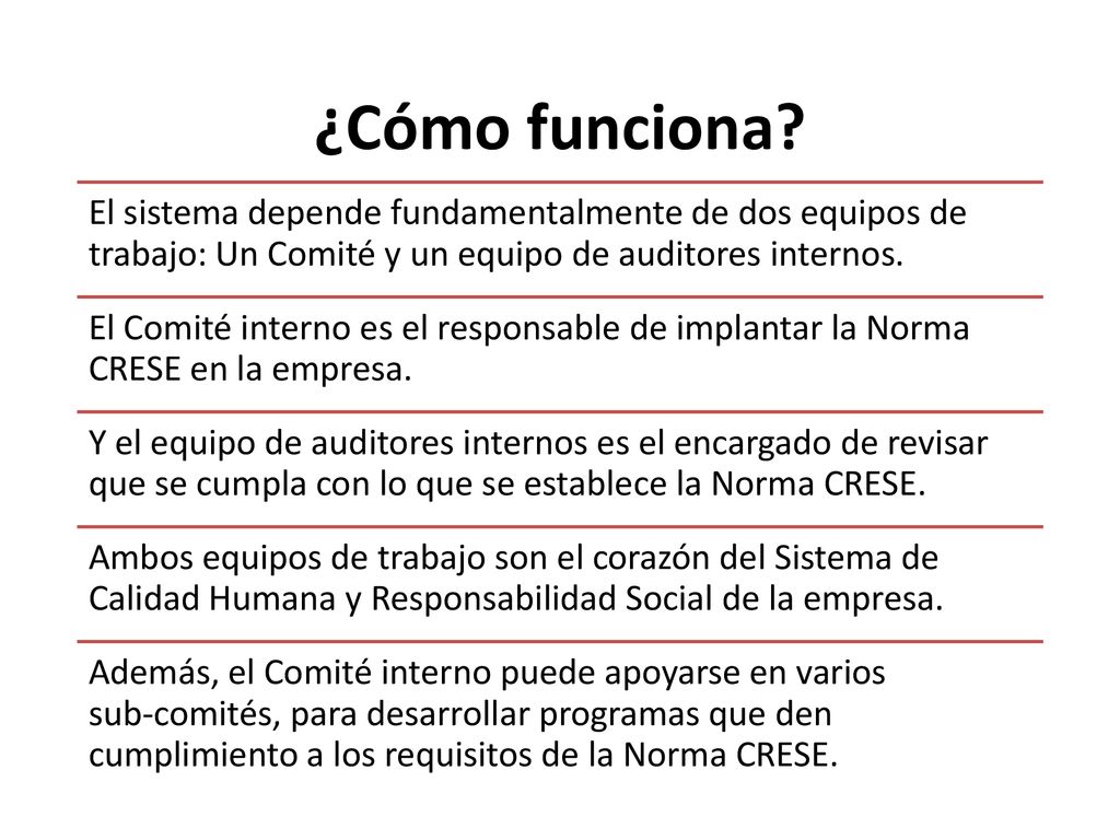 ¿Cómo funciona El sistema depende fundamentalmente de dos equipos de trabajo: Un Comité y un equipo de auditores internos.