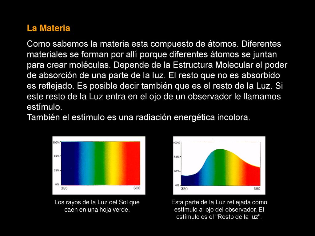 Los rayos de la Luz del Sol que caen en una hoja verde.