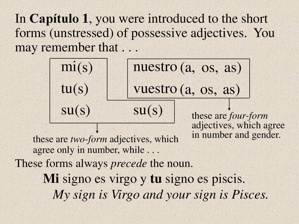 mi (s) nuestro (a, os, as) tu (s) vuestro (a, os, as) su (s) su (s)