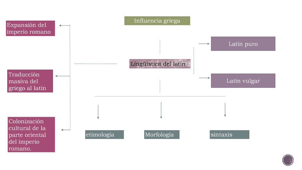 Influencia griega Expansión del imperio romano. Latín puro. Lingüística del latín. Traducción masiva del griego al latín.