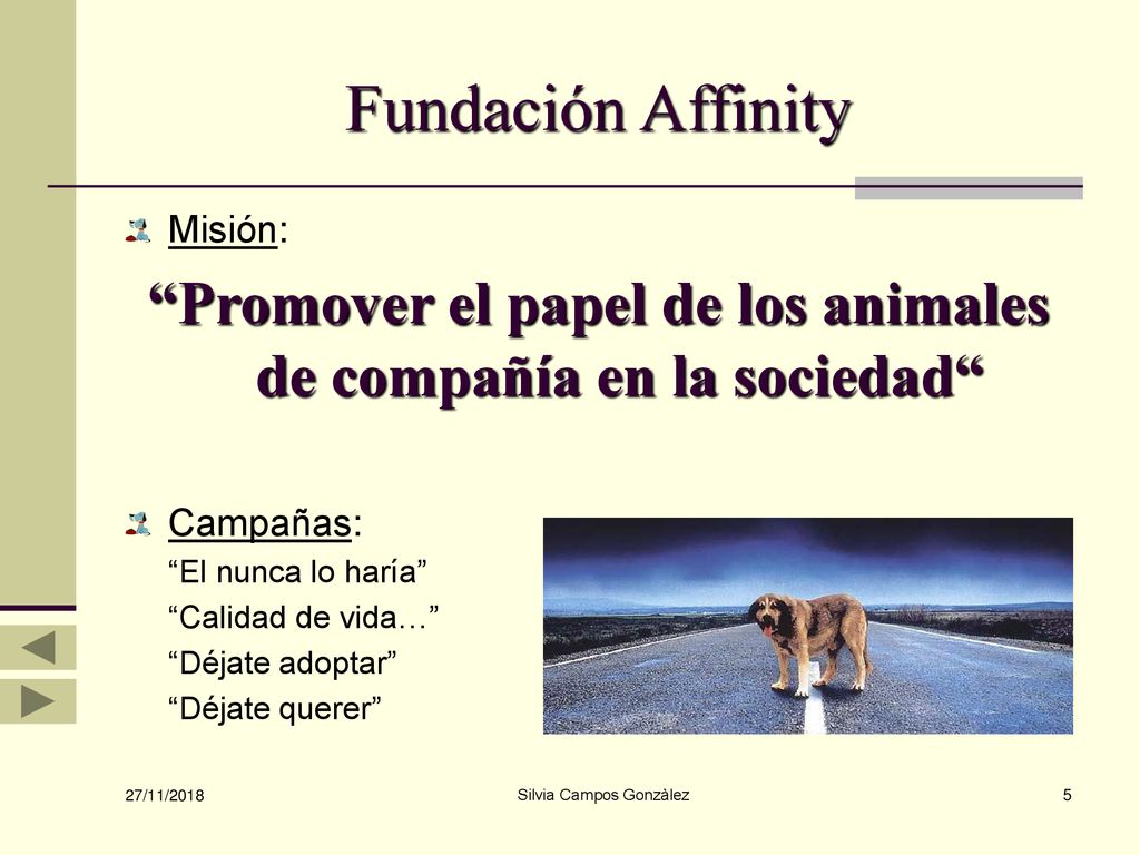 Promover el papel de los animales de compañía en la sociedad