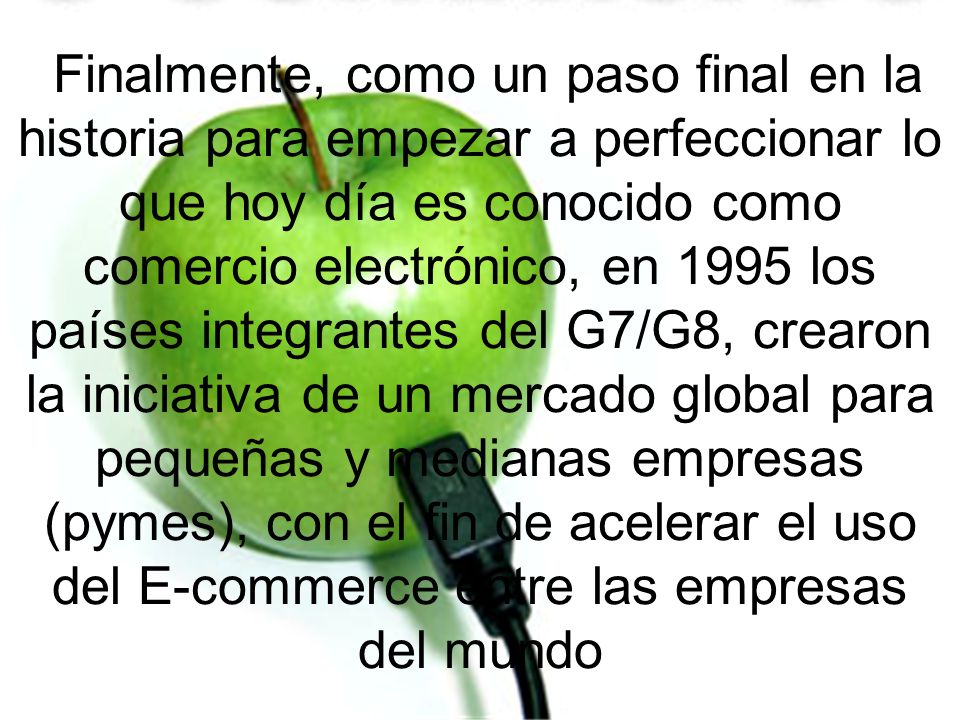 Finalmente, como un paso final en la historia para empezar a perfeccionar lo que hoy día es conocido como comercio electrónico, en 1995 los países integrantes del G7/G8, crearon la iniciativa de un mercado global para pequeñas y medianas empresas (pymes), con el fin de acelerar el uso del E-commerce entre las empresas del mundo
