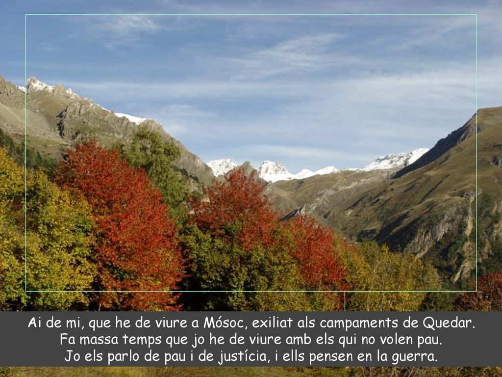 Ai de mi, que he de viure a Mósoc, exiliat als campaments de Quedar.