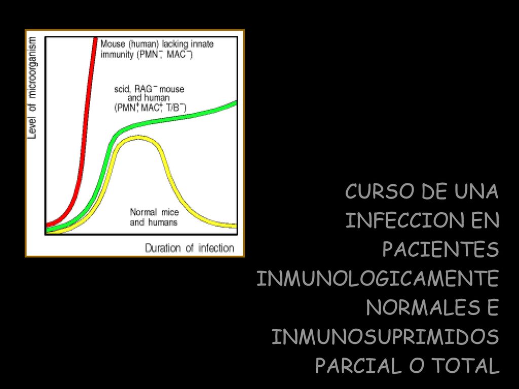 CURSO DE UNA INFECCION EN PACIENTES INMUNOLOGICAMENTE NORMALES E INMUNOSUPRIMIDOS PARCIAL O TOTAL