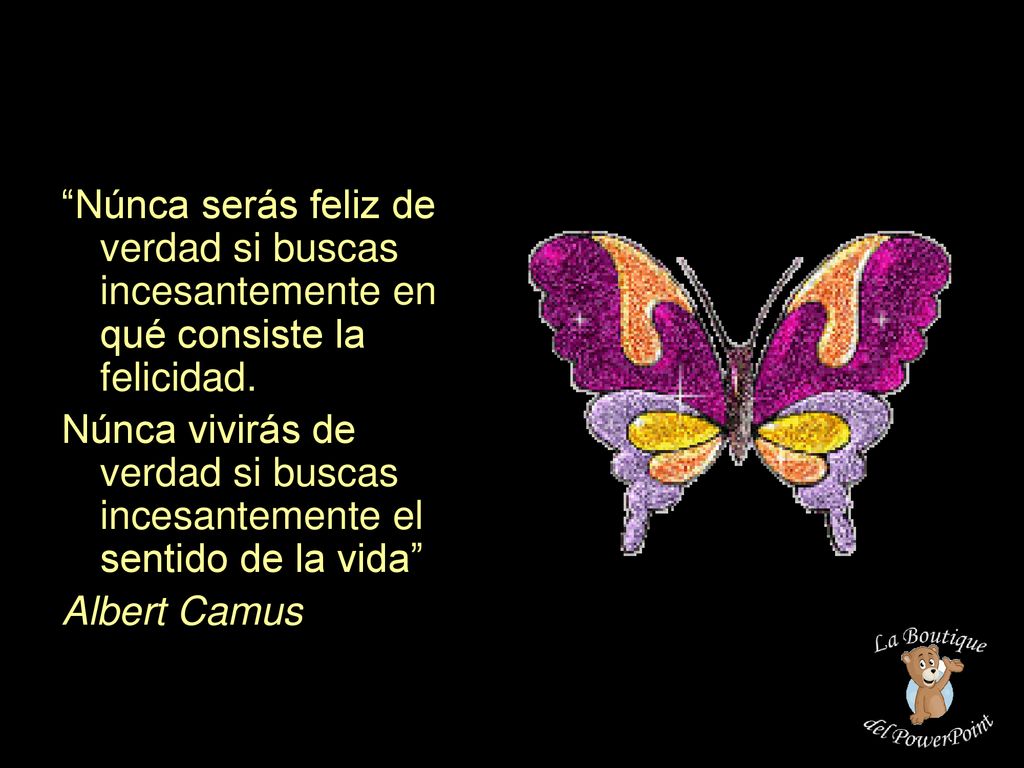 Núnca serás feliz de verdad si buscas incesantemente en qué consiste la felicidad.