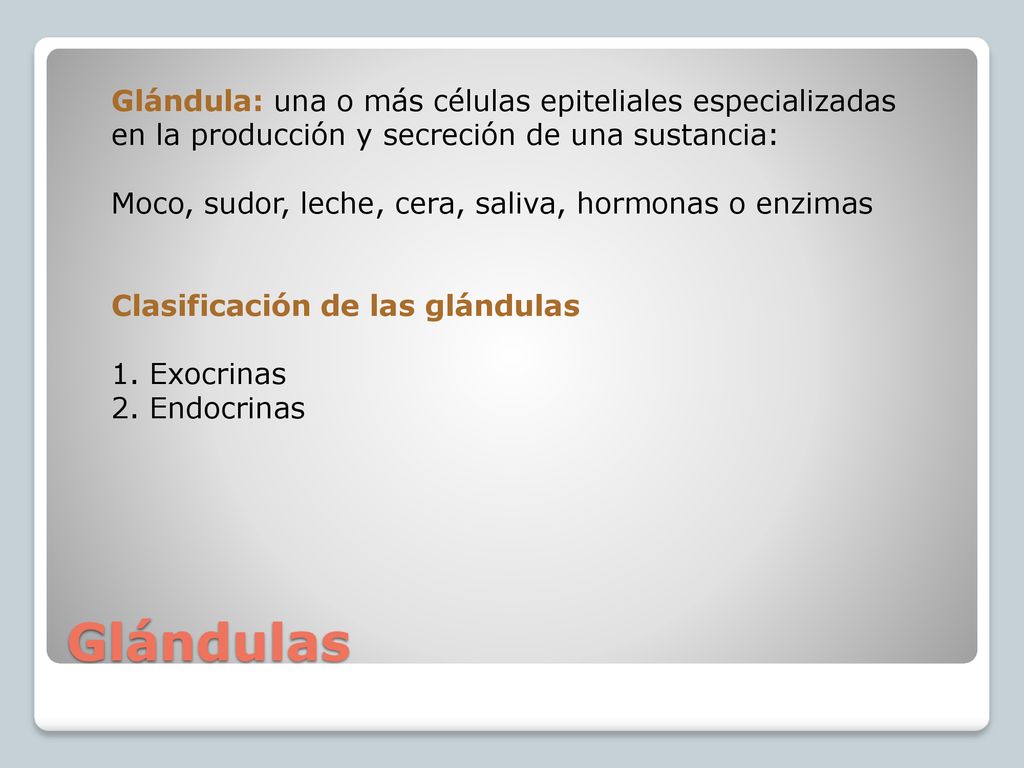 Glándula: una o más células epiteliales especializadas en la producción y secreción de una sustancia: