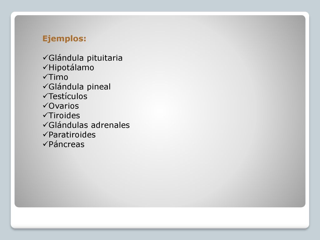 Ejemplos: Glándula pituitaria. Hipotálamo. Timo. Glándula pineal. Testículos. Ovarios. Tiroides.