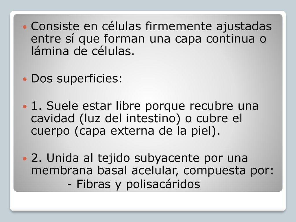 Consiste en células firmemente ajustadas entre sí que forman una capa continua o lámina de células.