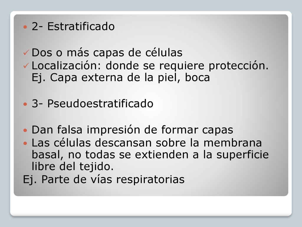 2- Estratificado Dos o más capas de células. Localización: donde se requiere protección. Ej. Capa externa de la piel, boca.
