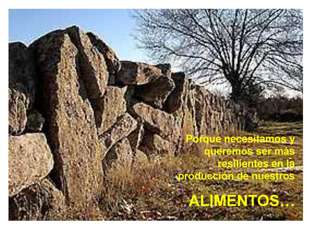 Porque necesitamos y queremos ser más resilientes en la producción de nuestros