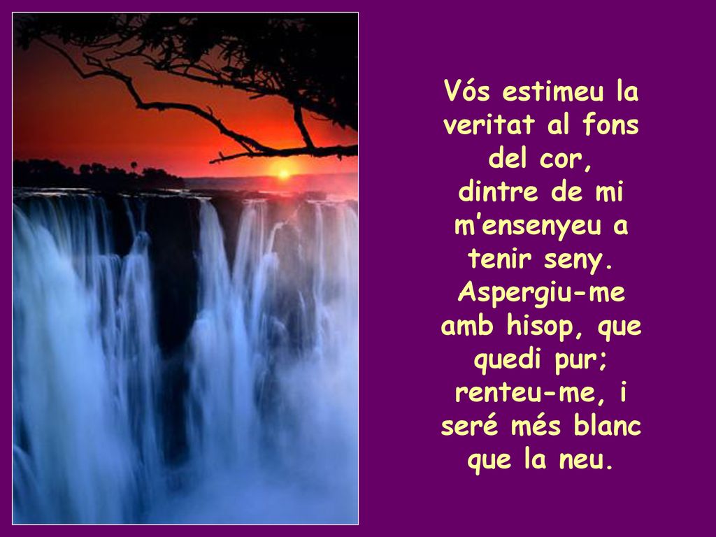 Vós estimeu la veritat al fons del cor,