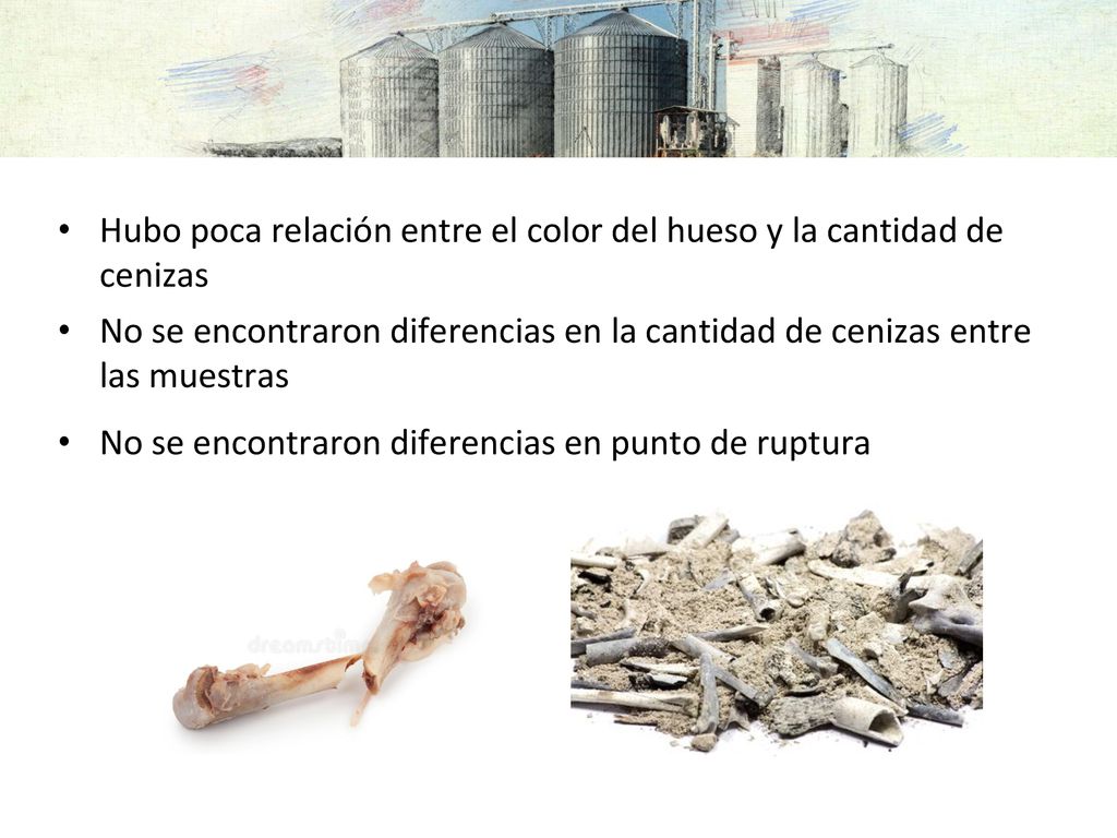 Hubo poca relación entre el color del hueso y la cantidad de cenizas