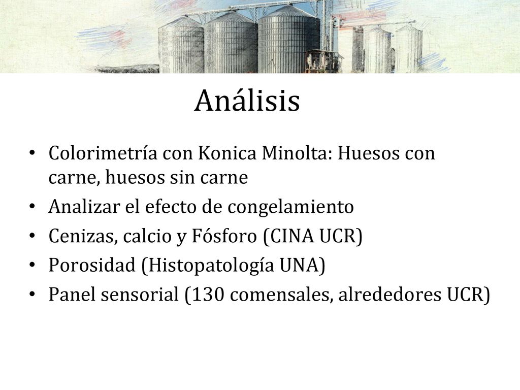 Análisis Colorimetría con Konica Minolta: Huesos con carne, huesos sin carne. Analizar el efecto de congelamiento.