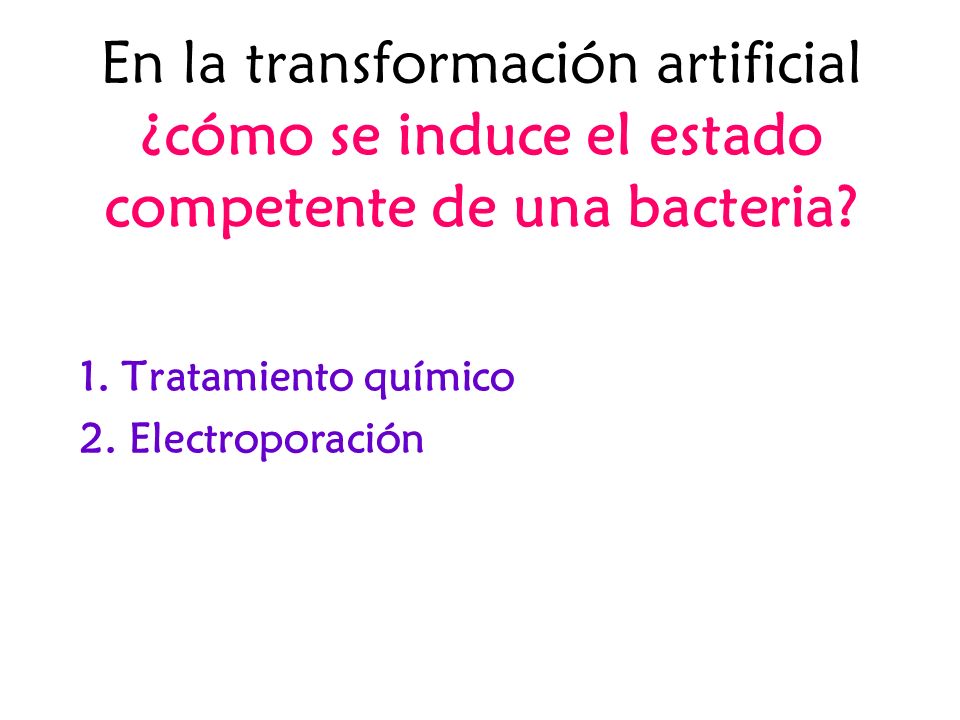 En la transformación artificial ¿cómo se induce el estado competente de una bacteria