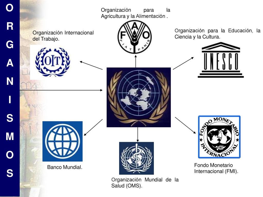 O R G A N I S M Organización para la Agricultura y la Alimentación .