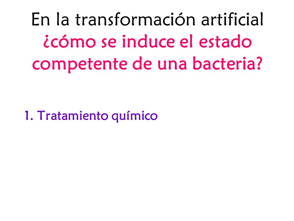 En la transformación artificial ¿cómo se induce el estado competente de una bacteria