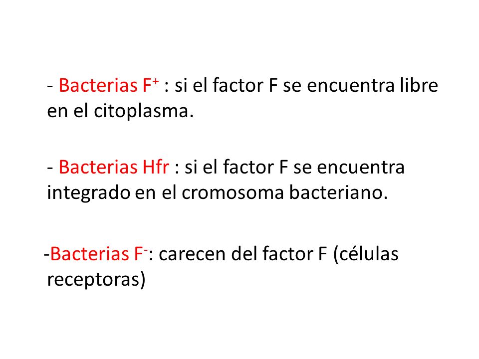- Bacterias F+ : si el factor F se encuentra libre en el citoplasma