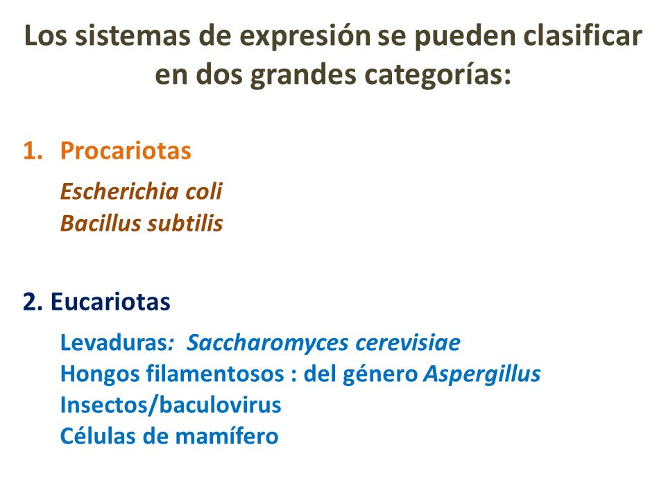Los sistemas de expresión se pueden clasificar en dos grandes categorías: