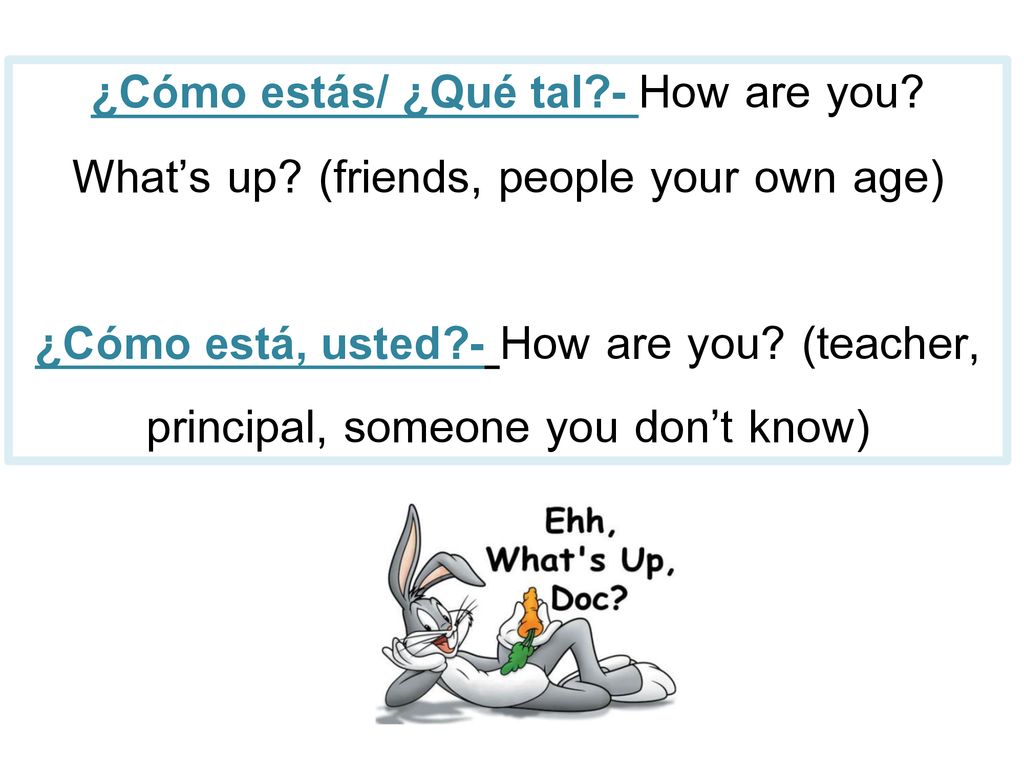 ¿Cómo estás/ ¿Qué tal. - How are you. What’s up