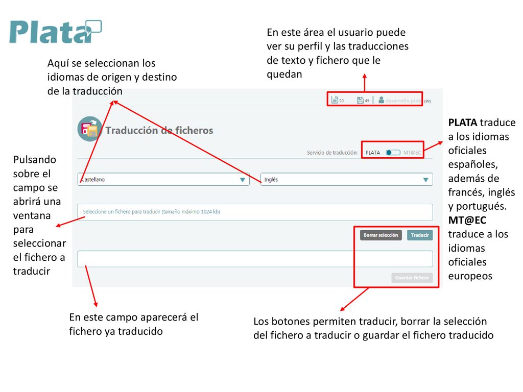 En este área el usuario puede ver su perfil y las traducciones de texto y fichero que le quedan