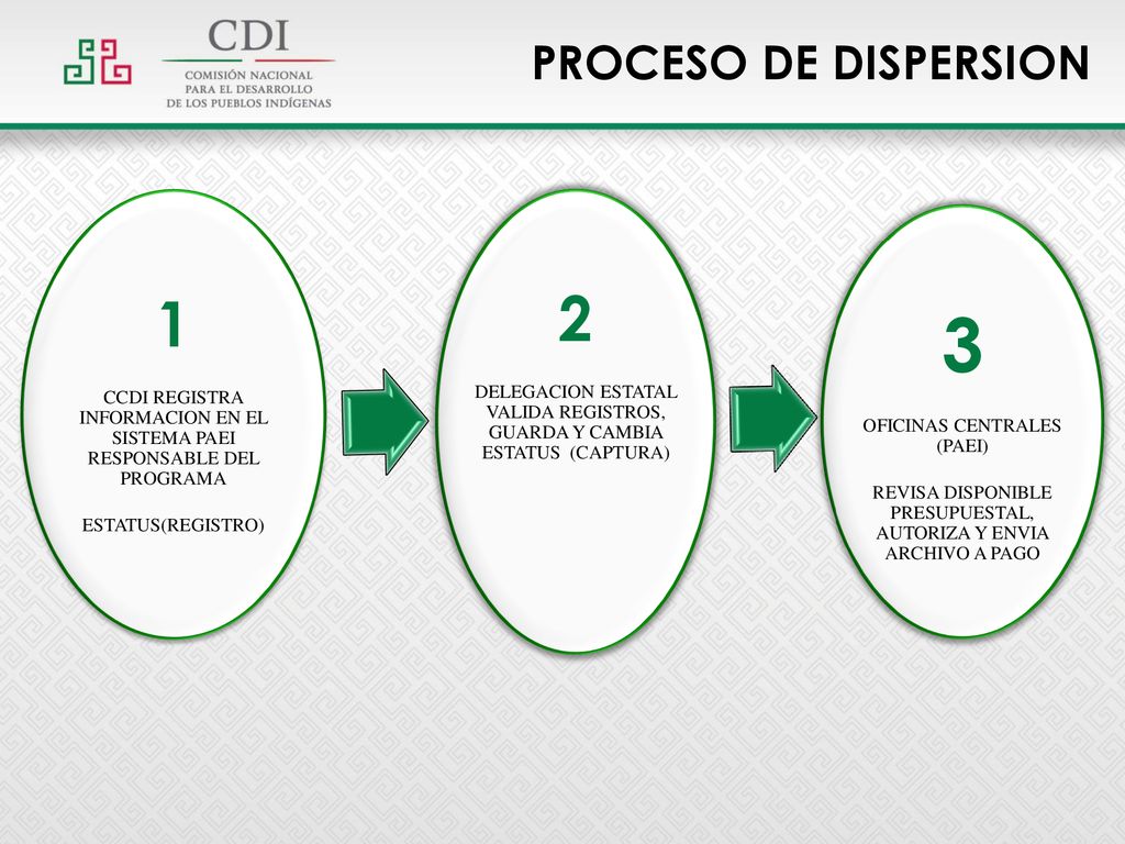 PROCESO DE DISPERSION 1. CCDI REGISTRA INFORMACION EN EL SISTEMA PAEI RESPONSABLE DEL PROGRAMA.