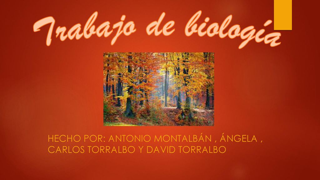 Trabajo de biología HECHO POR: Antonio Montalbán , Ángela , Carlos Torralbo y David Torralbo