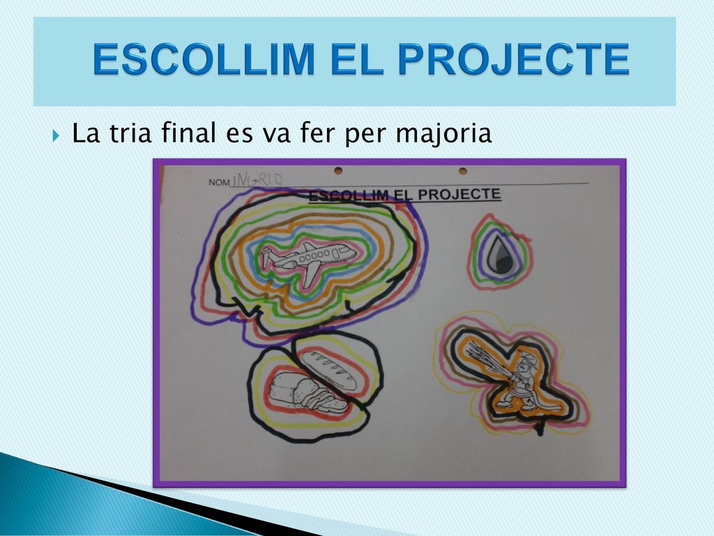 ESCOLLIM EL PROJECTE La tria final es va fer per majoria