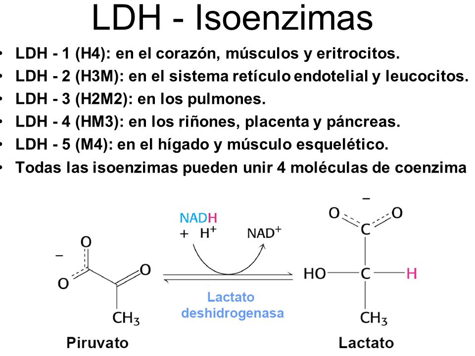 LDH - Isoenzimas LDH - 1 (H4): en el corazón, músculos y eritrocitos.
