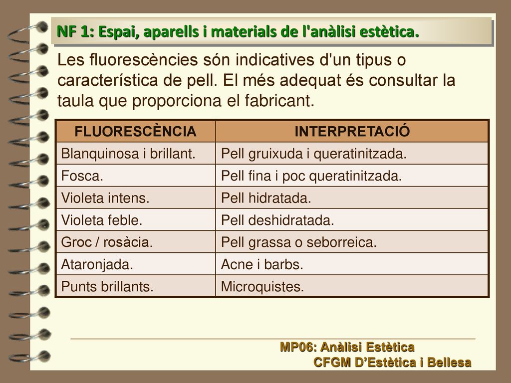NF 1: Espai, aparells i materials de l anàlisi estètica.