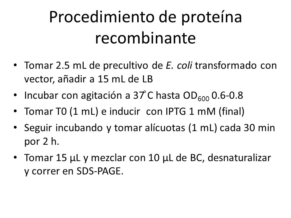 Procedimiento de proteína recombinante