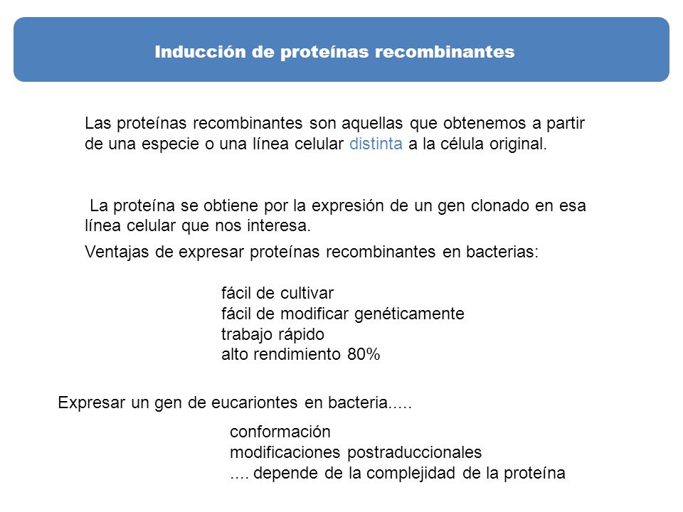 Inducción de proteínas recombinantes