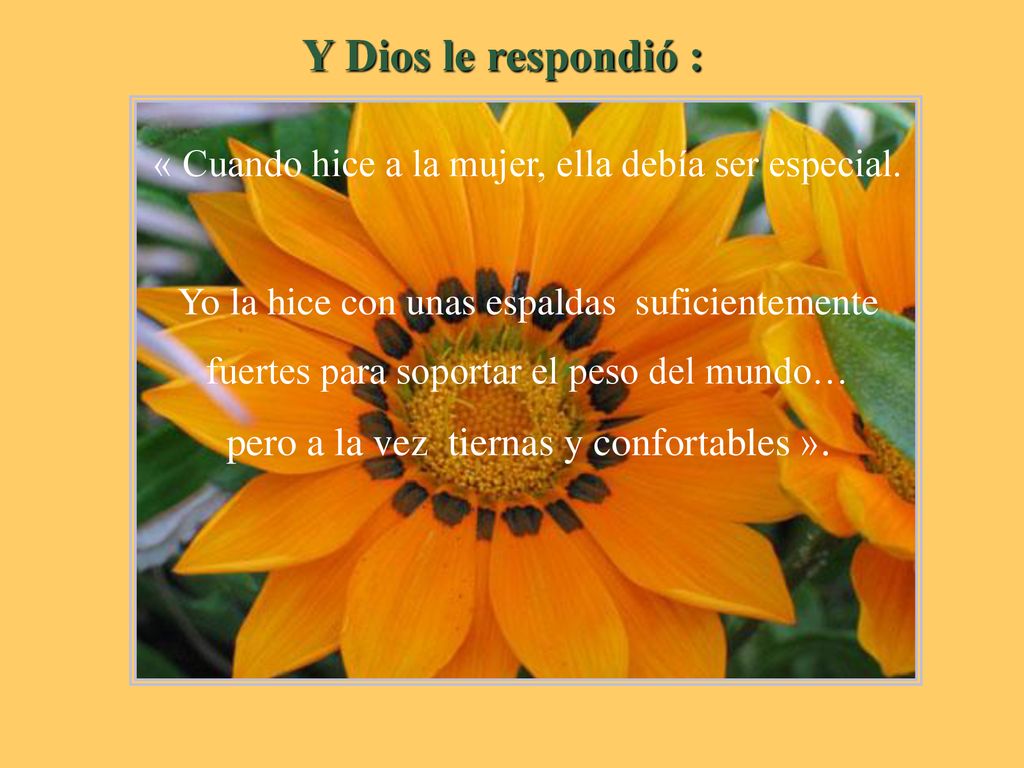 Y Dios le respondió : pero a la vez tiernas y confortables ».