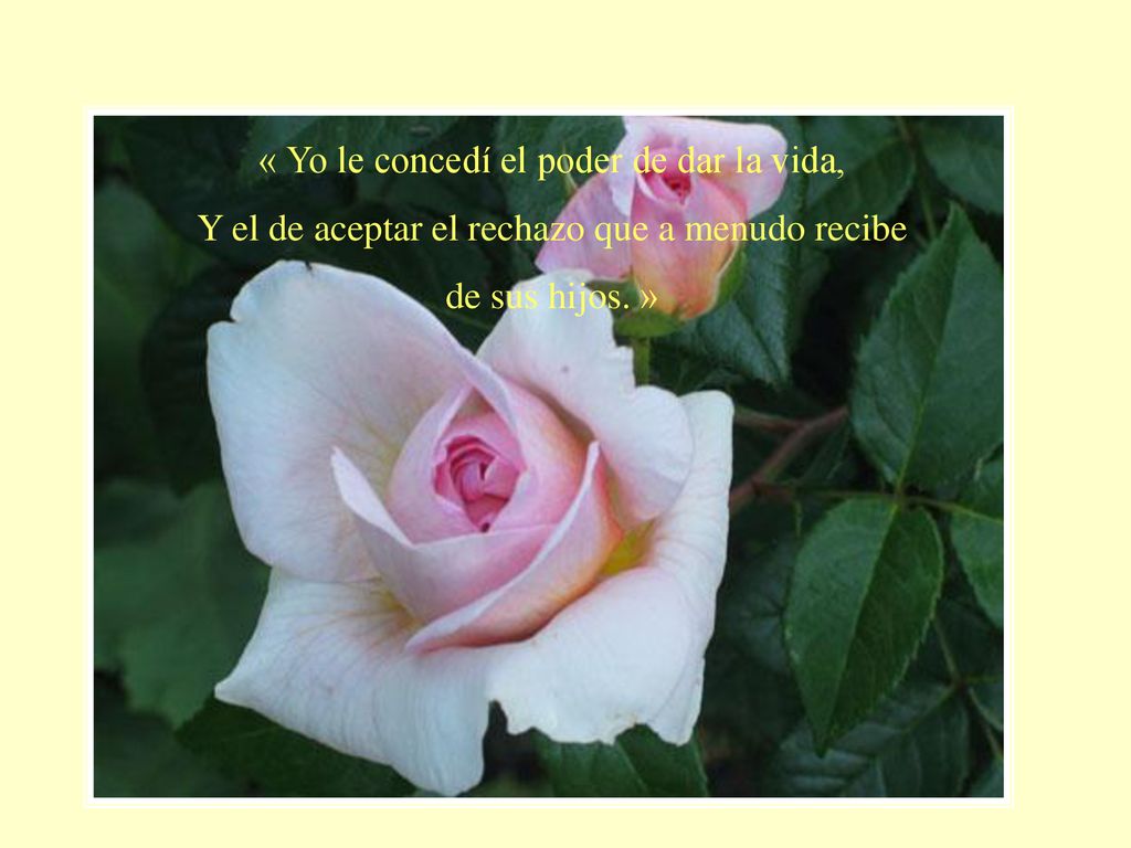 « Yo le concedí el poder de dar la vida,