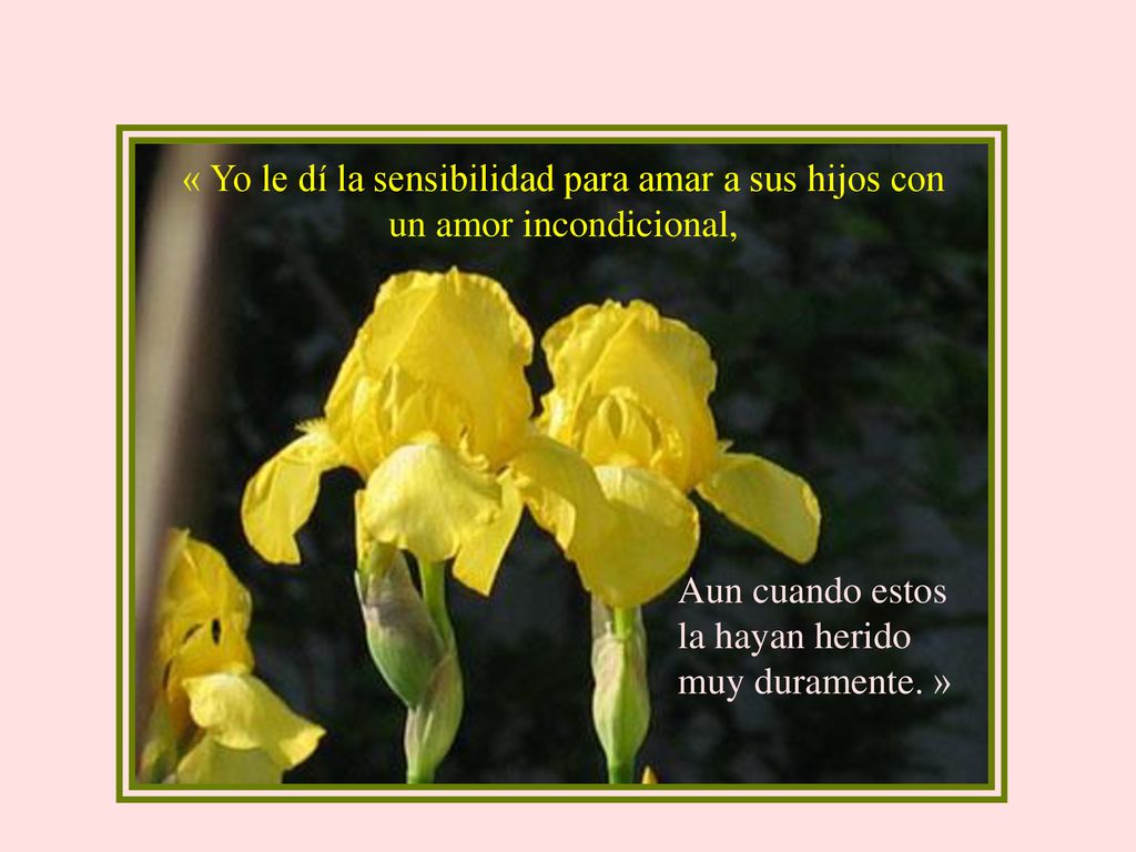 « Yo le dí la sensibilidad para amar a sus hijos con un amor incondicional,