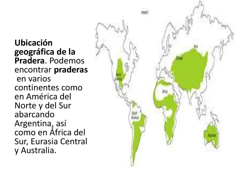 Pradera Hace referencia a un conjunto de prados por extencion el concepto  se utiliza para dar nombre a la parte del campo cubierta de hierba y el  prado. - ppt descargar